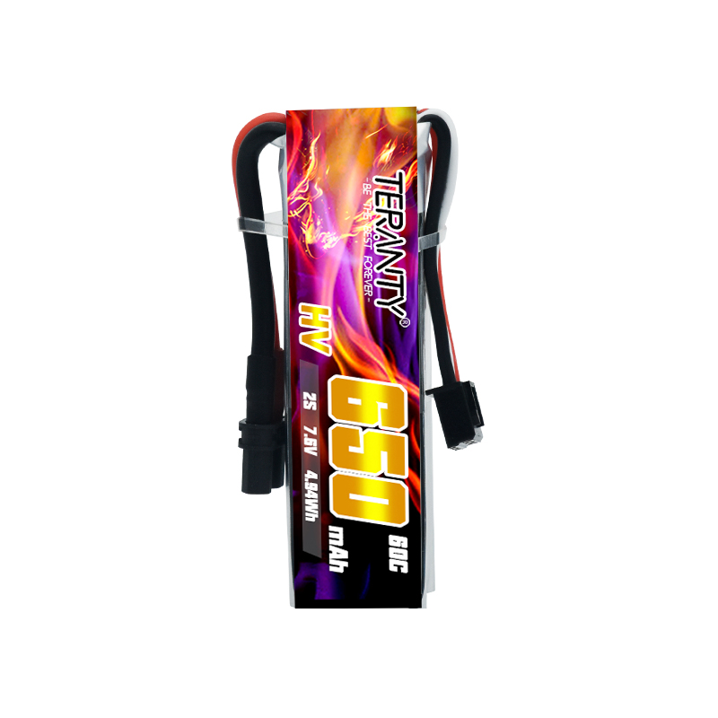 2/4/6/10 Stück TERANTY 650mAh  – Drone Kit Fpv Bewertung und Preis